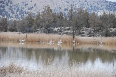 DSC_0008 (Large).JPG